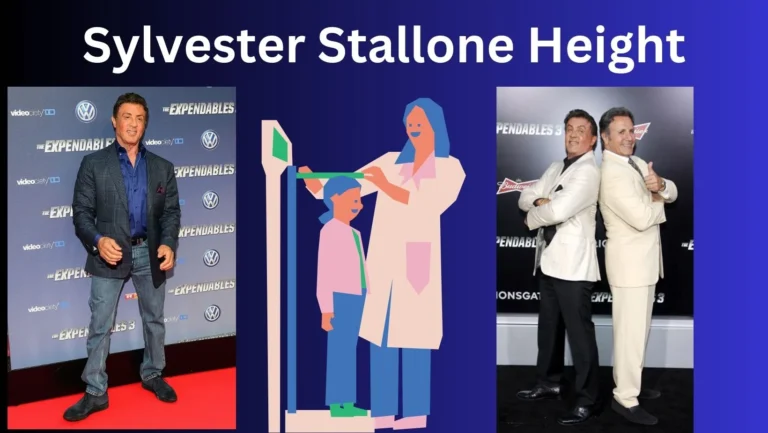 Sylvester Stallone Height: How Tall is Sylvester Stallone?