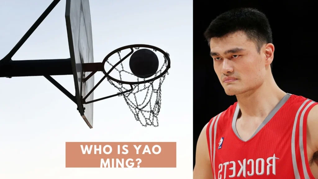 Yao Ming Height | How Tall Is Yao Ming