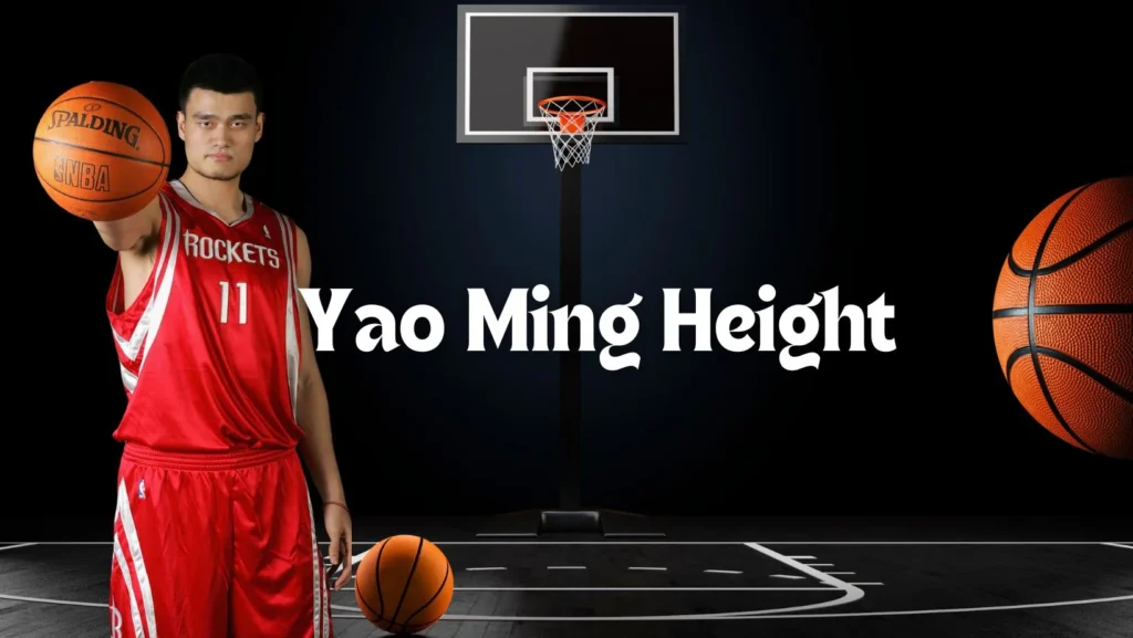 Yao Ming Height How Tall Is Yao Ming